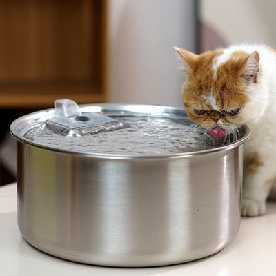 Fontaine a Eau Chat Dimension La Patte Velue